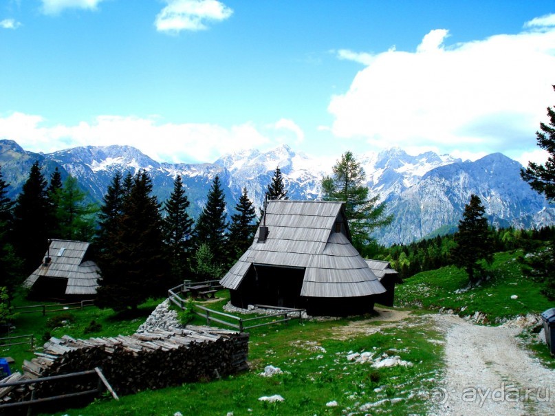 sLOVEnia