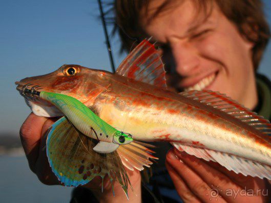 Рыбалка на Адриатическом море в Словении