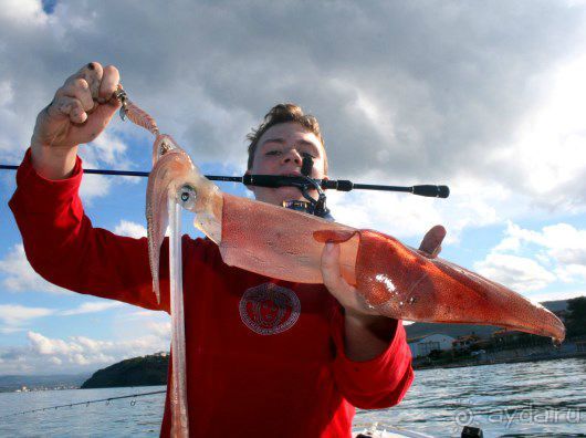 Рыбалка на Адриатическом море в Словении