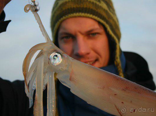 Рыбалка на Адриатическом море в Словении
