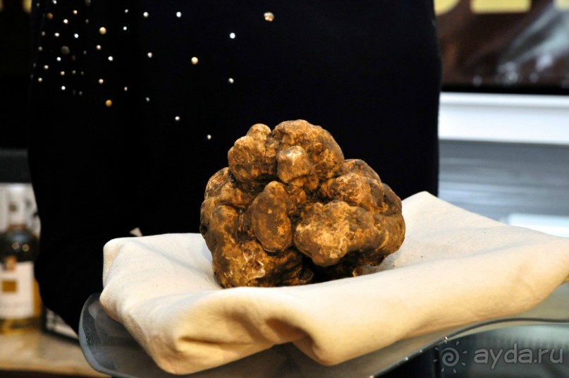 Трюфели: с чем их едят и как на них охотятся?