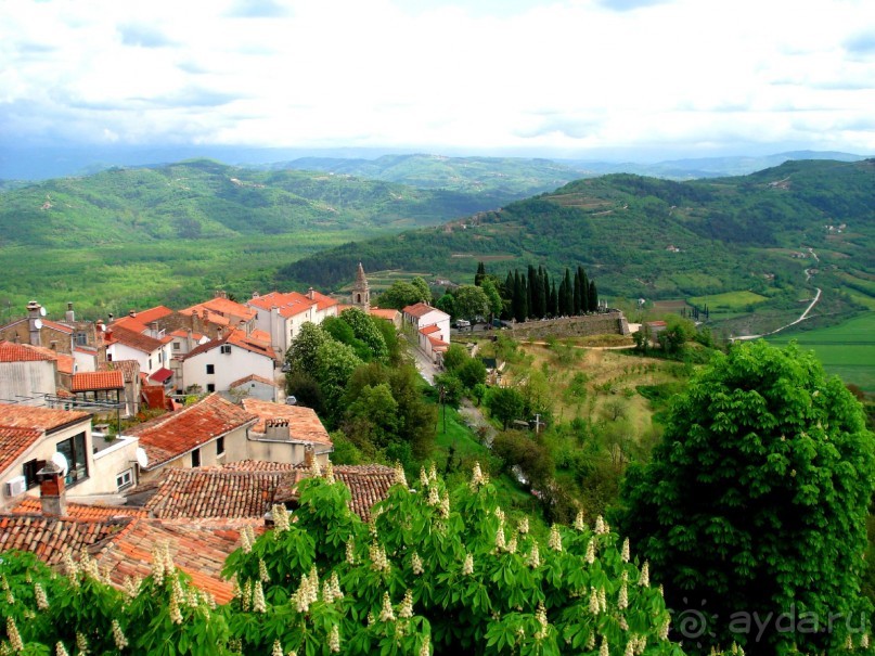 Трюфели: с чем их едят и как на них охотятся?