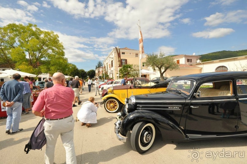 Трюфели: с чем их едят и как на них охотятся?