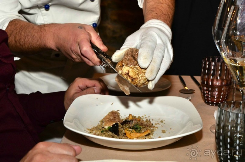 Трюфели: с чем их едят и как на них охотятся?