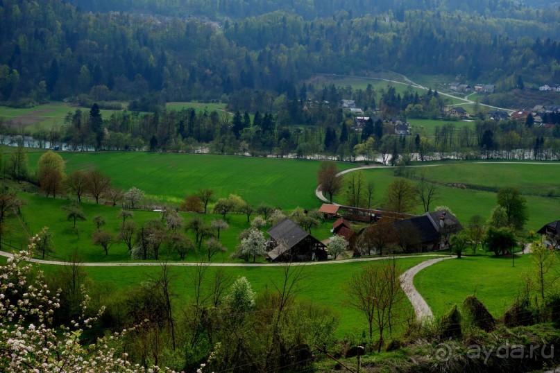 Фестиваль шополада. Словения
