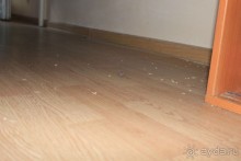 приморский