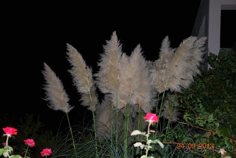 отлично отдохнули