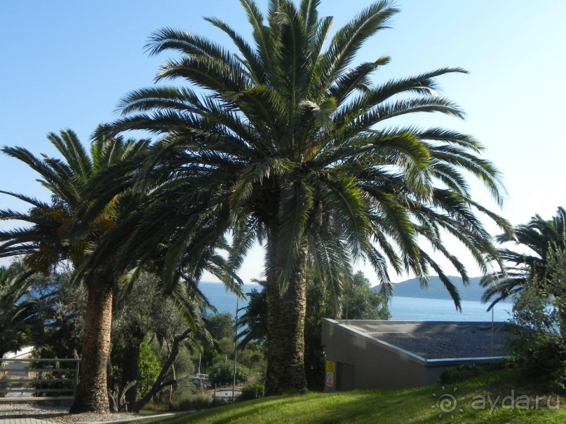 фото Falkensteiner Hotel Montenegro