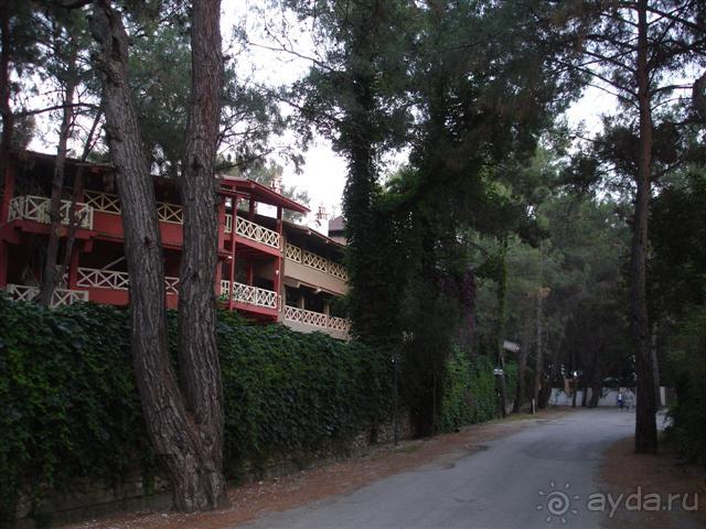 фото Armas Kaplan Paradise