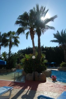 Солнечный гостеприимный  приют утомленных северян.