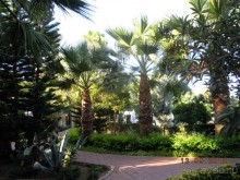 Незабываемо