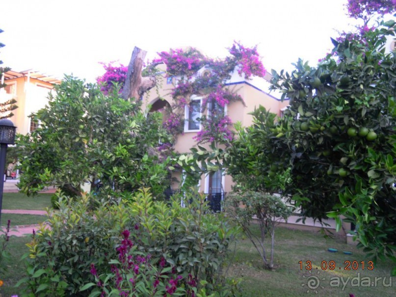 фото Ampuria Inn