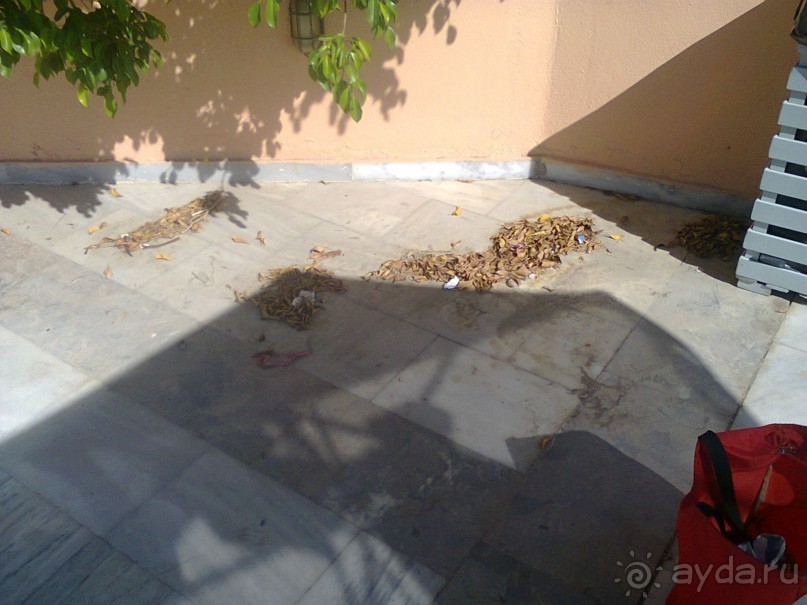 Хуже не было никогда!