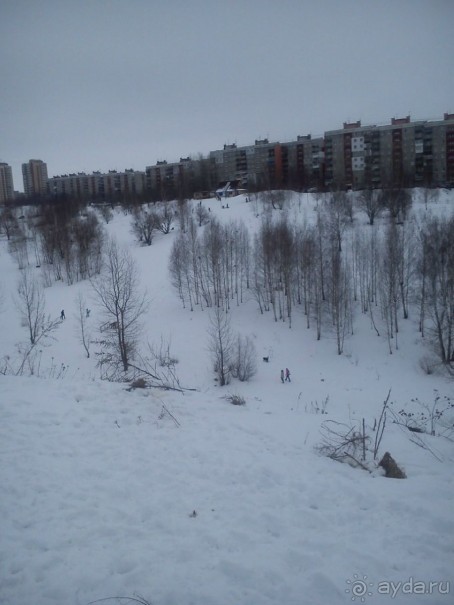 Удивительный Дизайн