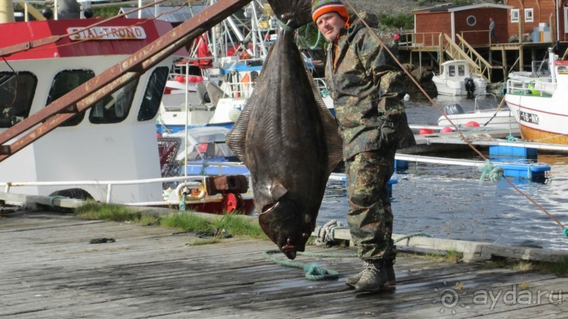 Семейная традиция-поездка в Норвегию на рыбалку