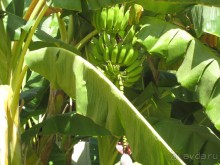 Уже ждем следующего лета, чтобы приехатьсюда в третий раз!!!