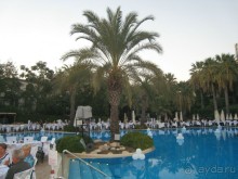 фото Side Star Elegance