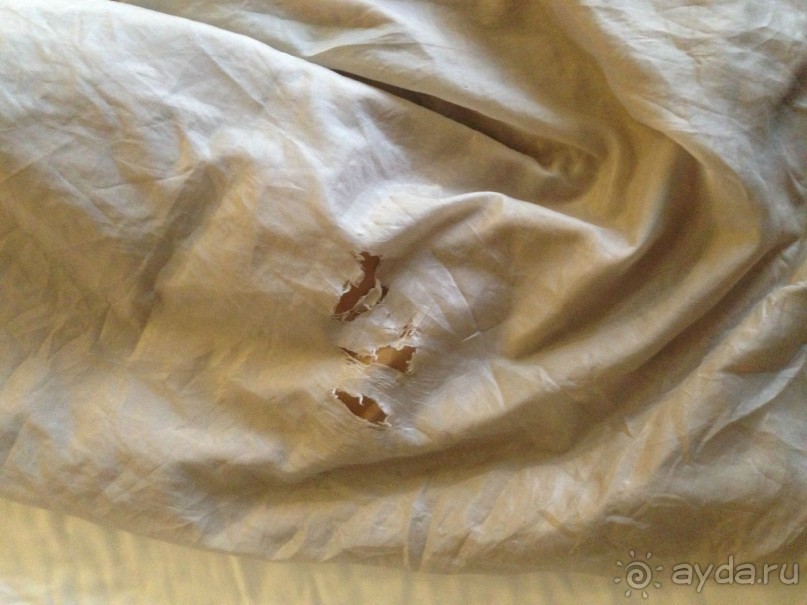 фото Alegria Caprici Verd