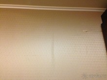 фото Alegria Caprici Verd