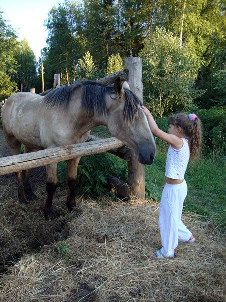 Почти как в песне у БГ "Город Золотой"