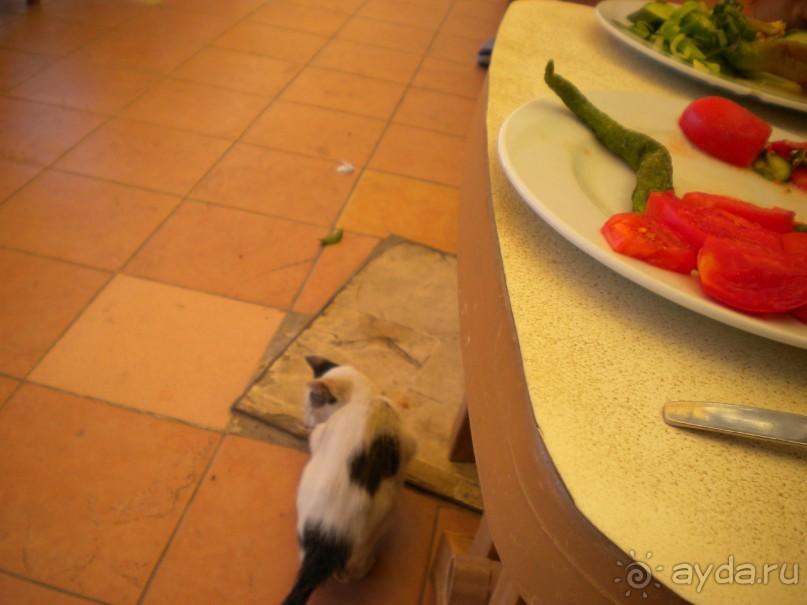 Ах,море,ну и MORE