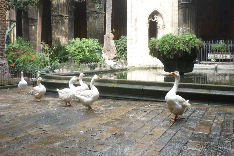 Барселона в феврале. Отель Инкария.