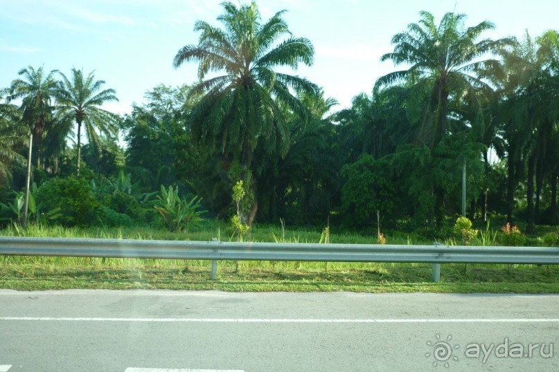 фото Berjaya Beau Vallon Bay Beach Resort & Casino
