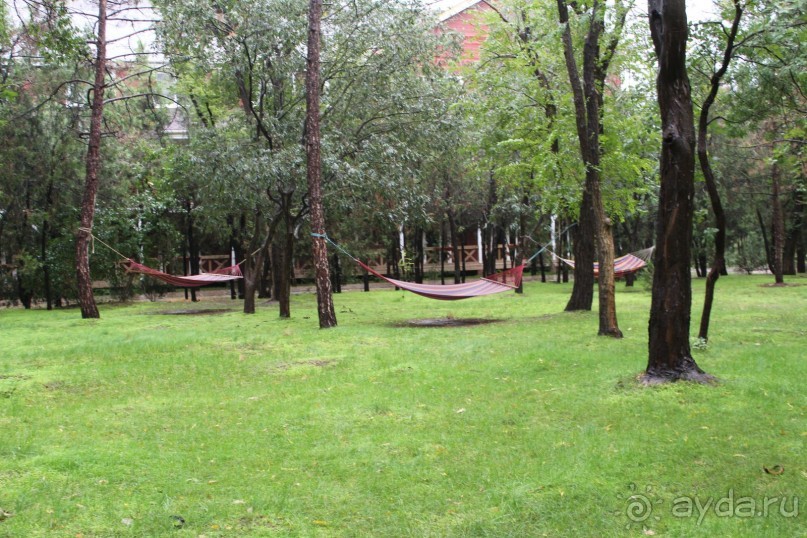 Хорошее лечение в санатории Саки