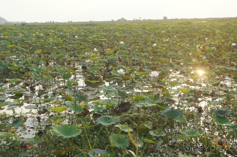 Для любителей экзотики-самое то. Острые ощущения от культуры и архитектурные шедевры обеспечены.