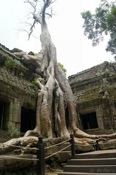 Для любителей экзотики-самое то. Острые ощущения от культуры и архитектурные шедевры обеспечены.