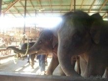 Экскурсия новая Квай-SPA. (Тайланд, Канчанабури)