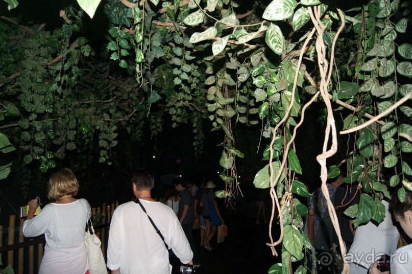 Экскурсия в Королевский Дворец +океанариум. Бангкок