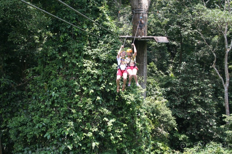 Альбом отзыва " Экскурсия "Полет Гиббона" (Тайланд, Паттайя)"