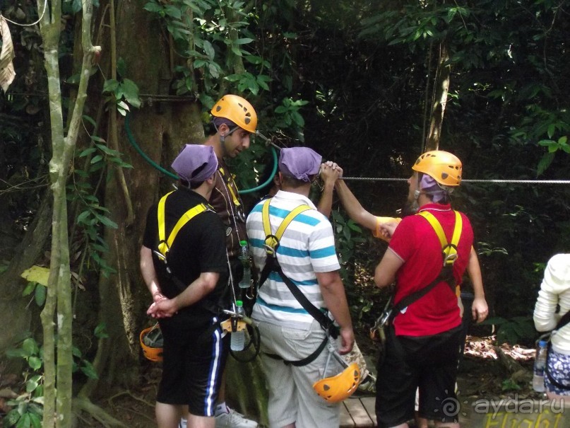 Альбом отзыва " Экскурсия "Полет Гиббона" (Тайланд, Паттайя)"
