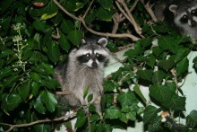 Лучший отдых с детьми!