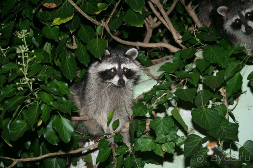 Лучший отдых с детьми!