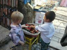 Путешествие из Герцег-Нови в Мостар.