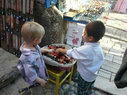 Путешествие из Герцег-Нови в Мостар.