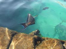 Хорошее море!