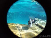 Хорошее море!