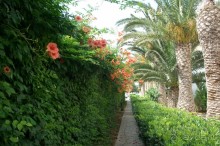 Недорого и отнюдь не сердито....