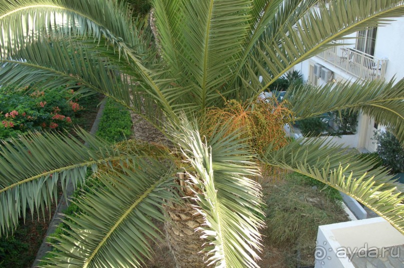 Недорого и отнюдь не сердито....