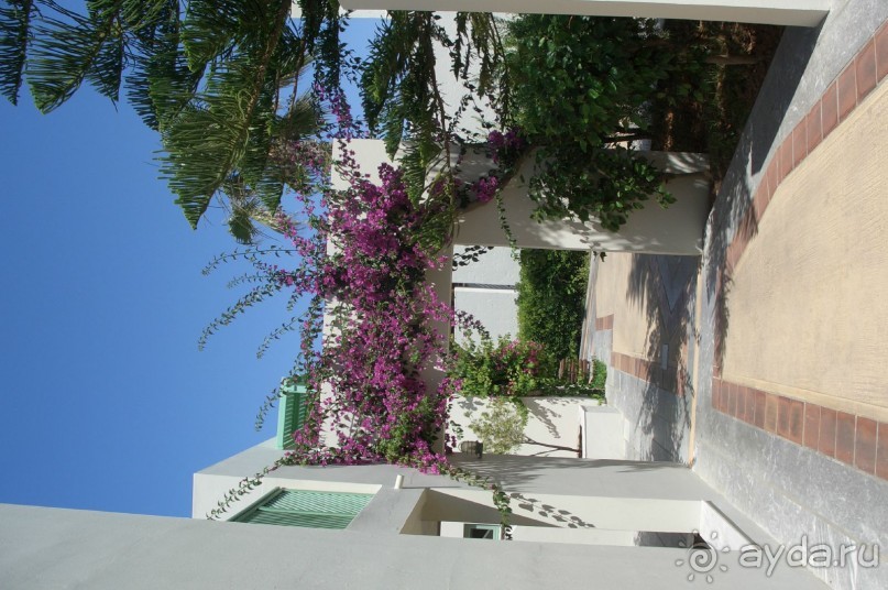 Недорого и отнюдь не сердито....