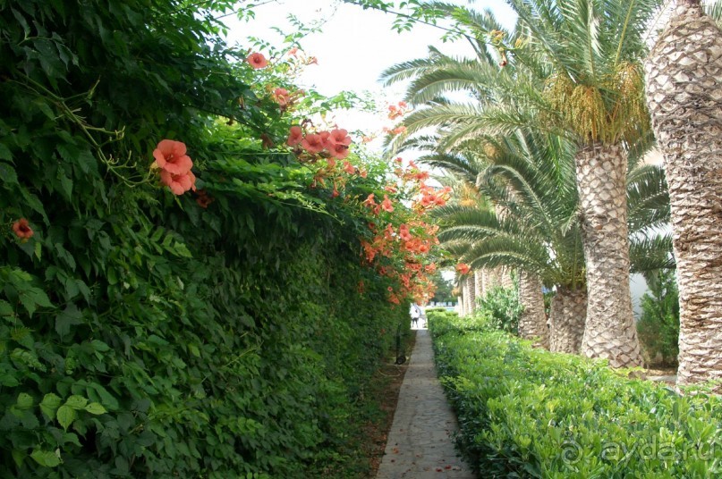 Недорого и отнюдь не сердито....