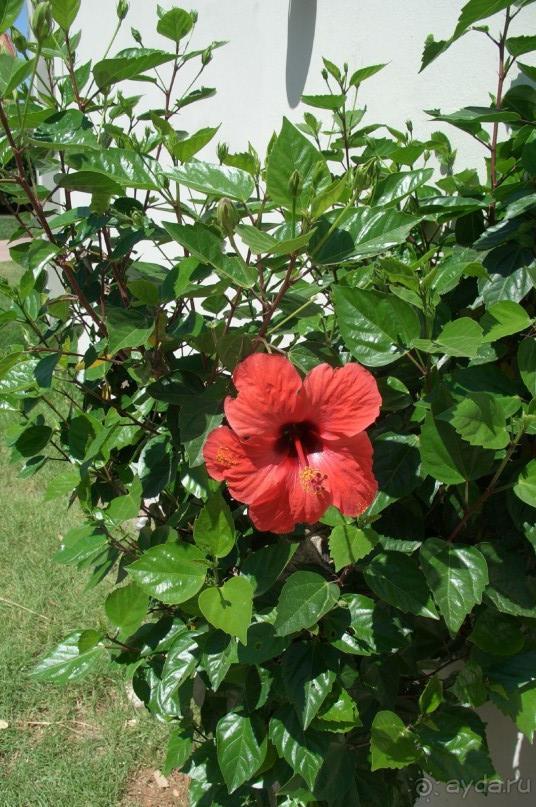 Недорого и отнюдь не сердито....