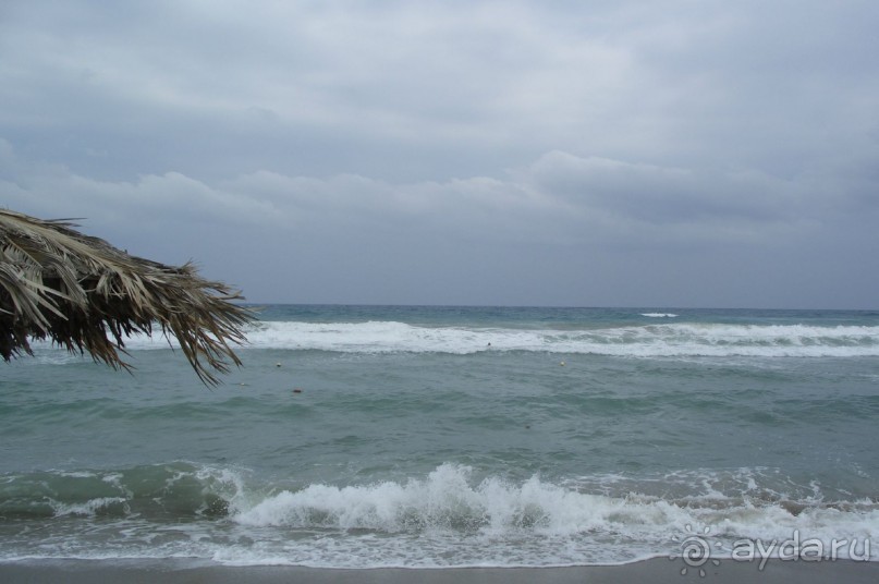 Недорого и отнюдь не сердито....