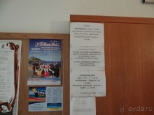 С какой турфирмой лучше не ездить и в какой отель