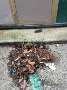 С какой турфирмой лучше не ездить и в какой отель