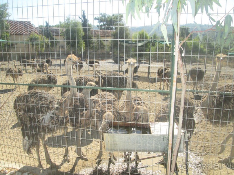 В общем не плохо.