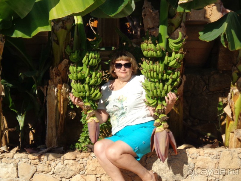 Отель супер для 3+